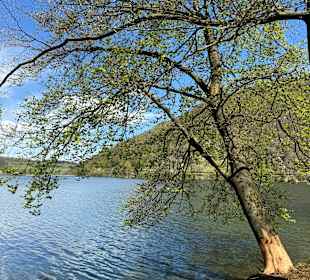 Wandern Diemelsee