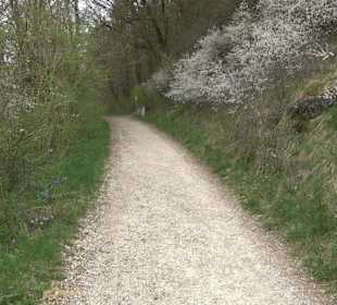Wanderung rund um das Rusenschloss Gerhausen
