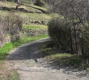 Hirschauer Spitzbergwegle (Premiumspazierwanderweg