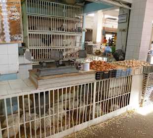 Weiße, braune Hühner alles da