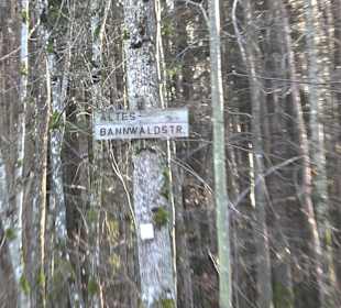 Wanderung rund um den Ochsenweiher