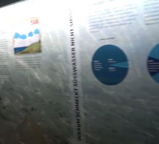 Tierpark Hellabrunn - Fische