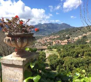 Traumhafte Aussicht über das Orangental