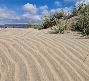 Mirador de Dunas Maspalomas