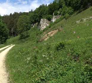 Tiefental Aichstetten