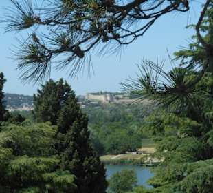 Rocher des Doms