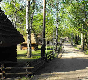 Radom-skansen ziemi radomskiej