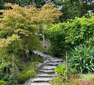 Killarney National Park