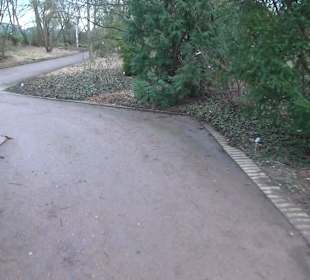 Botanischer Garten