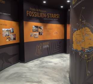 Dinosaurier Museum Altmühltal