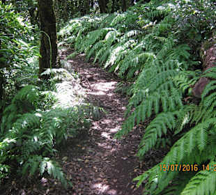Anaga-Gebirge / typischer Wanderweg