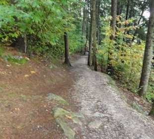 Kastanienerlebnisweg in Völlan