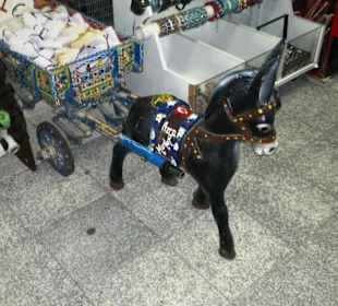 Ein Esel ist immer da....