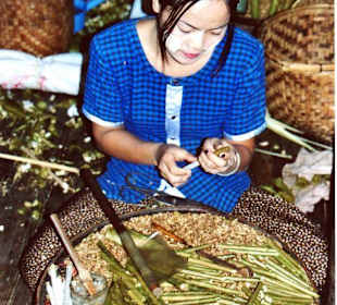Cheroot (Zigaretten)-Fabrik