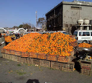 Apfelsinen frisch eingetroffen von der Plantasche