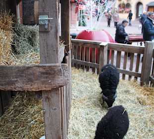 Weihnachtsmarkt Colmar
