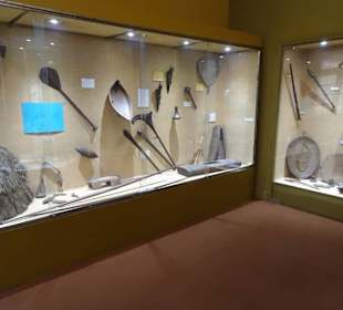 Exponate des Muséum d'histoire naturelle