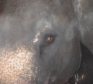 ...schau mir in die Augen Kleiner