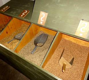 Getreideproben für die Besucher