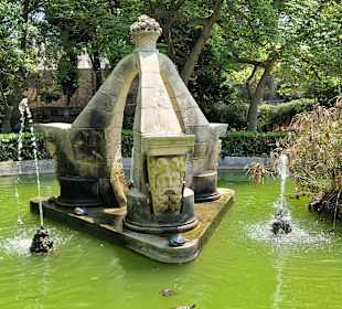 Brunnen