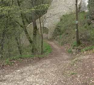 Wanderung rund um das Rusenschloss Gerhausen