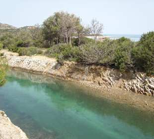 Fluß durch Oasi Bidderosa