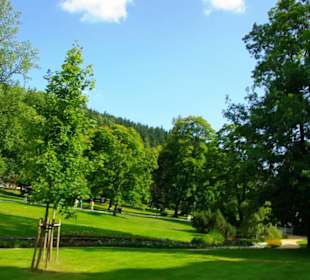 Im Kurpark unterwegs