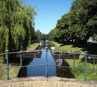 Ein Rundgang durch die "Rosenstadt" im Sommer 