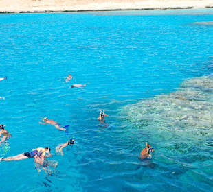 Schnorcheln bei Ausflug (Napoleoninsel)