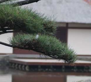 Parkanlage Planten un Blomen