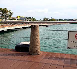 Sentosa Express