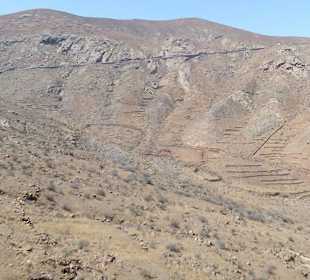 Naturschutzgebiet Pajara in Pajara