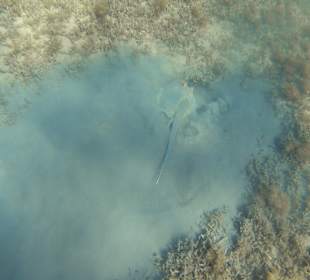 Schnorcheln Makadi Bay 