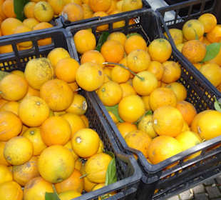 Rundgang über den Wochenmarkt von Tempio Pausania