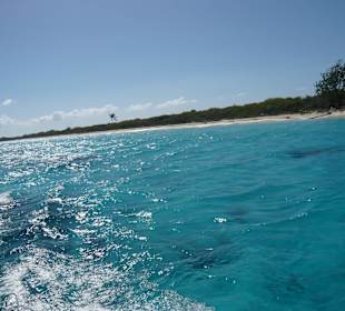 Ausblick auf Catalina