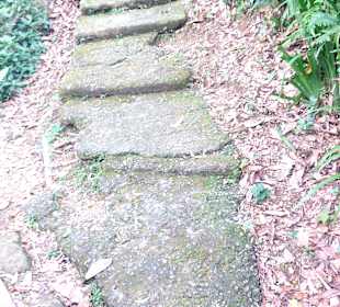 Elephant Mountain Xiangshan Hiking Trail