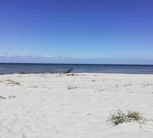 Strand Insel Poel