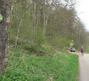 Premiumwanderweg Hochgebürzelt