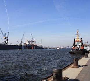 Am Hafen von Hamburg
