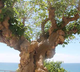 Stadtrundgang Sperlonga