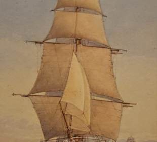 In der Abteilung "Marinemalerei" des IMM