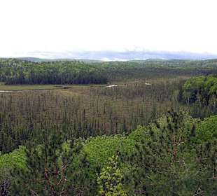 Algonquin Provincial Park.