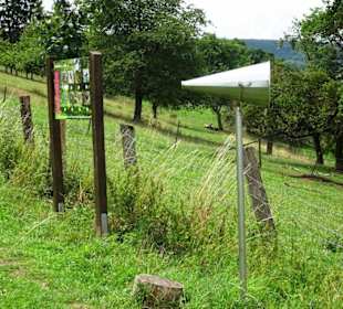 Station mit Hörtrichter im Naturerlebnispark