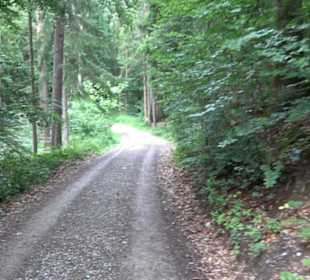 Wanderweg - Alter Steinbruch Pfaffenberg Runde