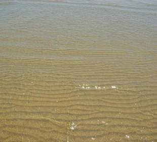 Strand von Bibione 06-2010