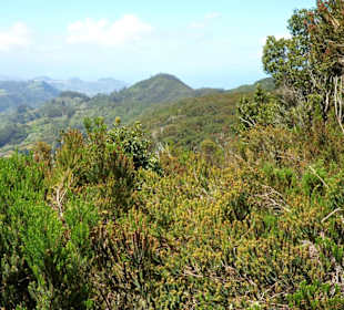 Wunderbare Fernsicht