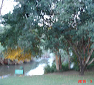 Krüger Nationalpark