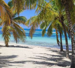 Punta Cana auf Deutsch - einfach schöne Ausflüge