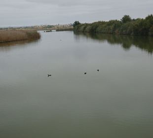 Im Naturschutzgebiet