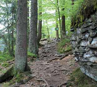 Nicht Rollstuhlgeeignet aber dennoch gut zu laufen
